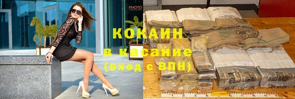 гашик Дмитров