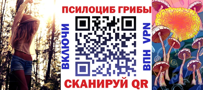 Галлюциногенные грибы Psilocybine cubensis  где купить   Дятьково 